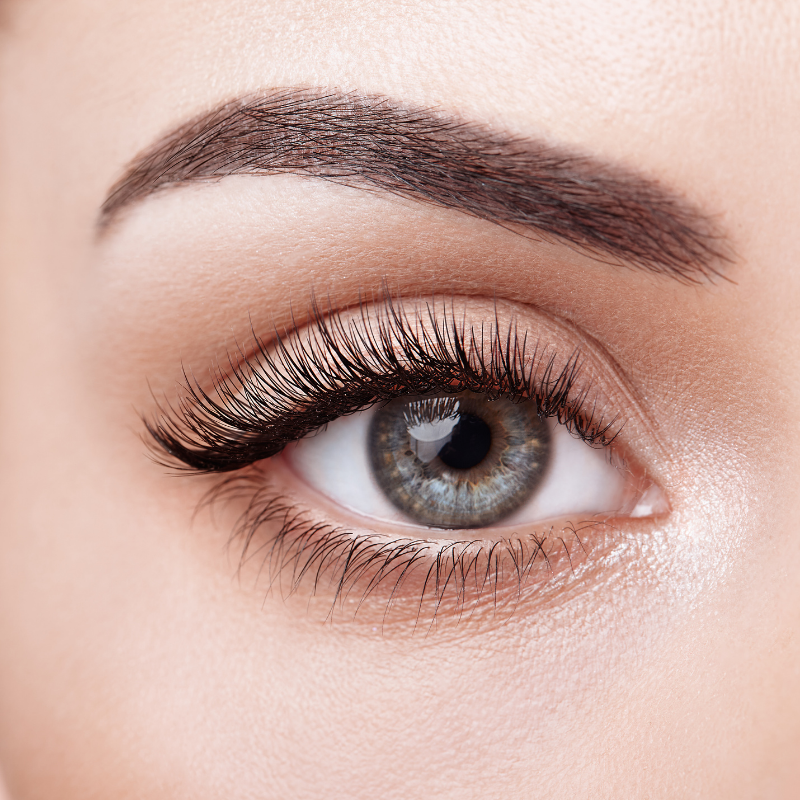 Perfect Lash Day (1 Tag)