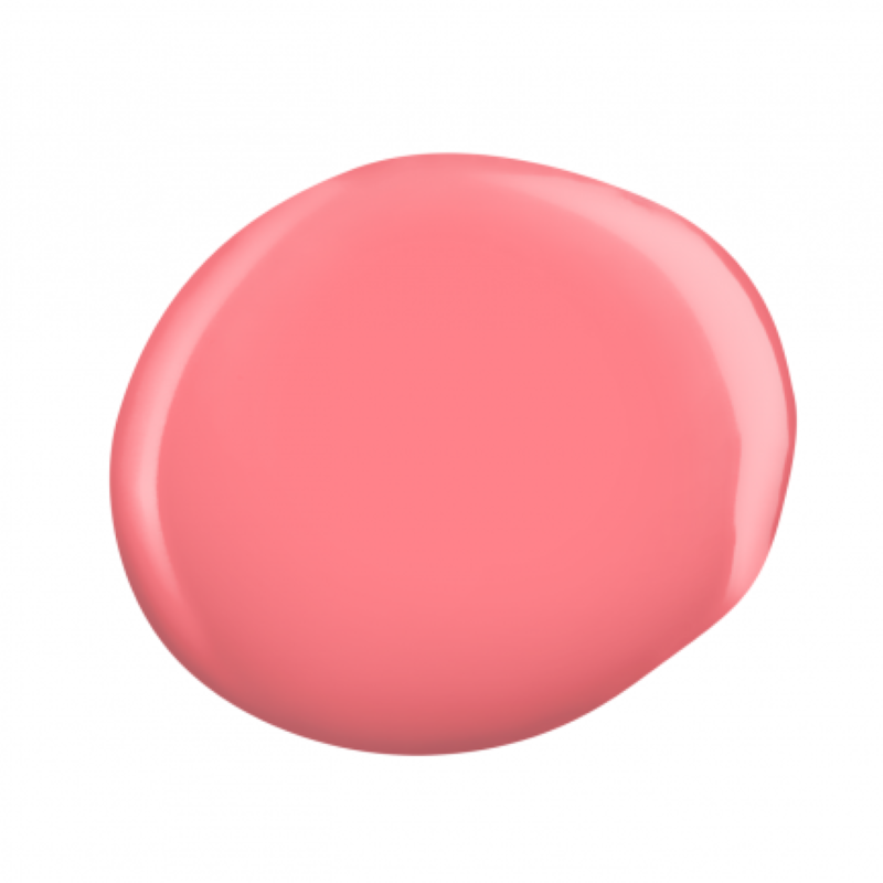 #424 Color Not Found