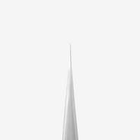 Professionelle Wimpernpinzette EXPERT 41 TYP 10